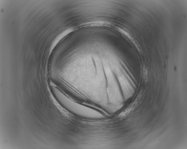 X0000066091426200604071745