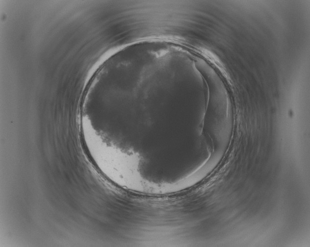 X0000066091428200604071745