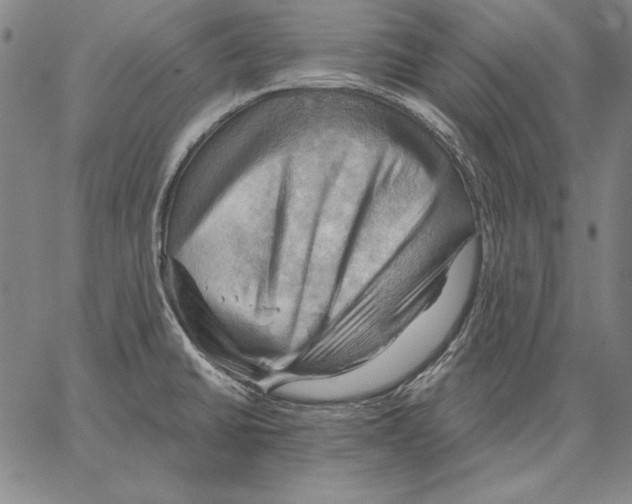 X0000066091430200604071745