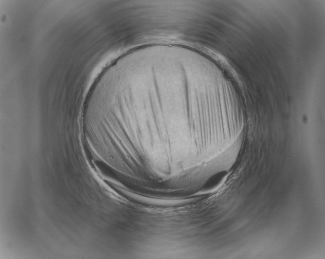 X0000066091432200604071745