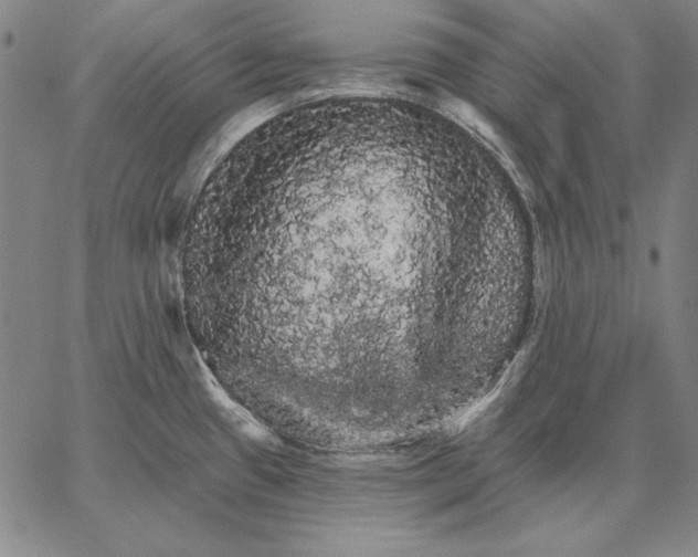 X0000066091433200604071745