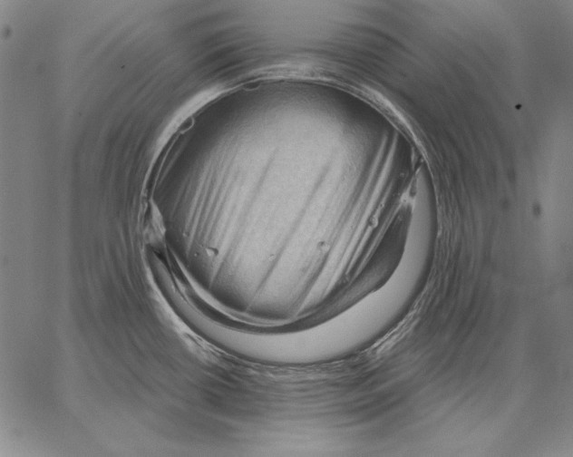 X0000066091434200604071746