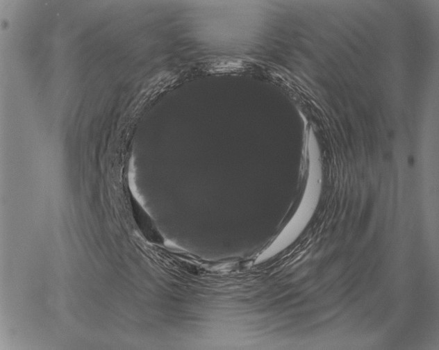 X0000066091441200604071745
