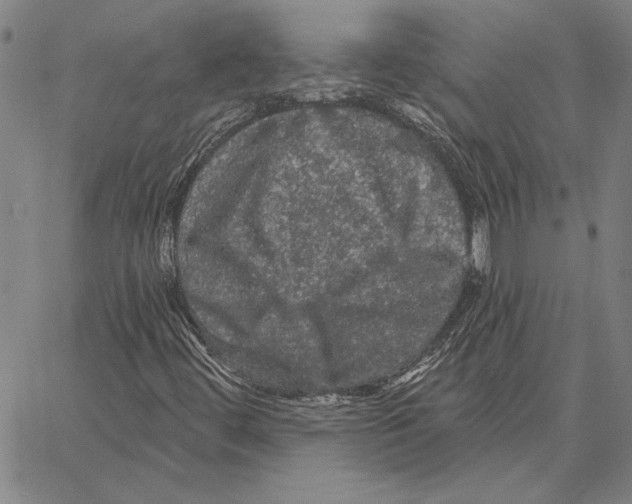 X0000066091444200604071745