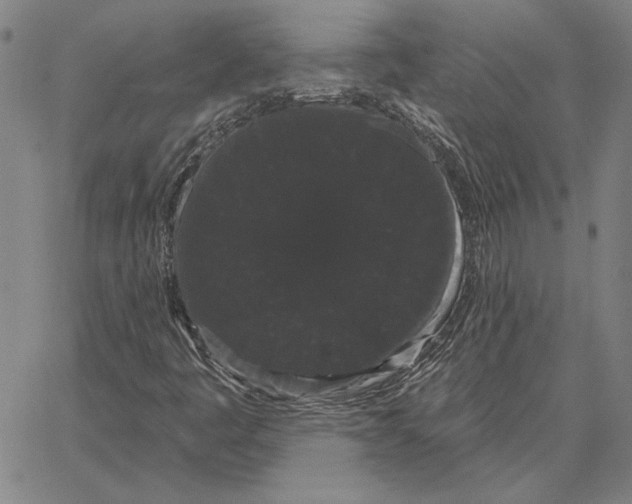 X0000066091445200604071745
