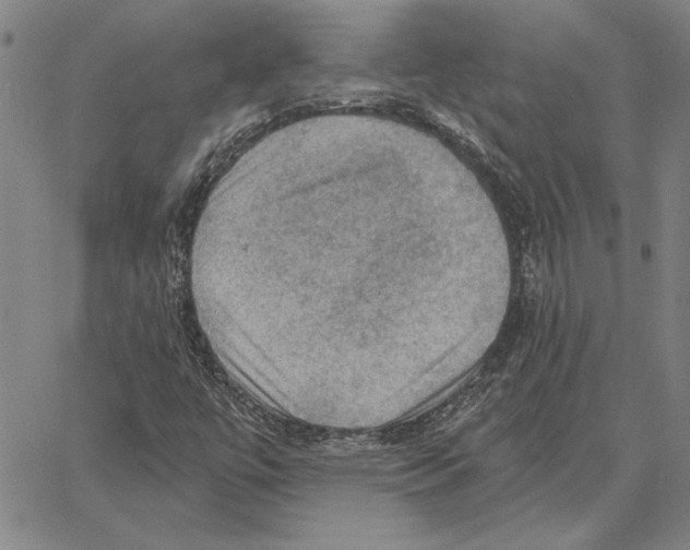 X0000066091447200604071745