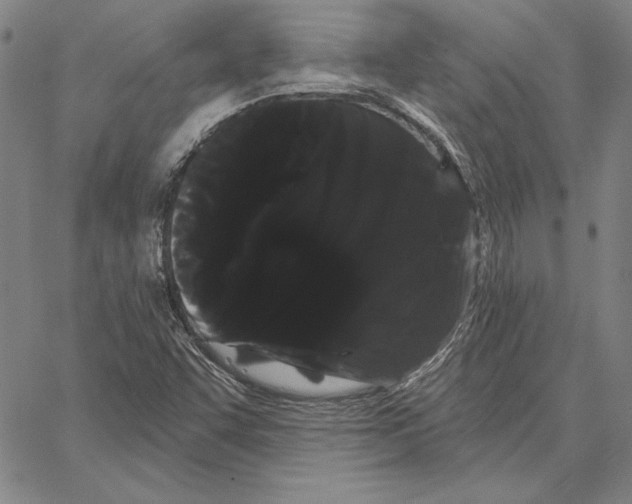 X0000066091455200604071745