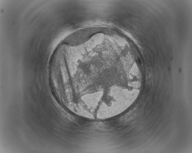 X0000066091463200604071744
