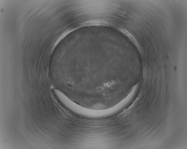 X0000066091465200604071744