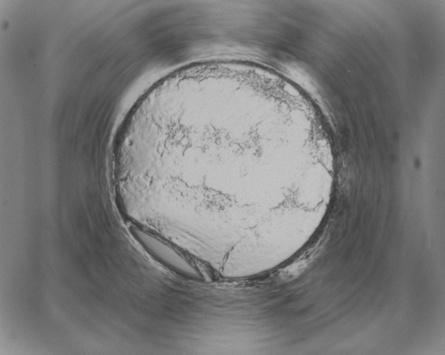 X0000066091472200604071744