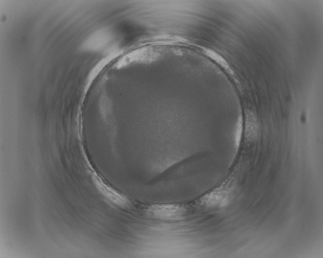 X0000066091474200604071744