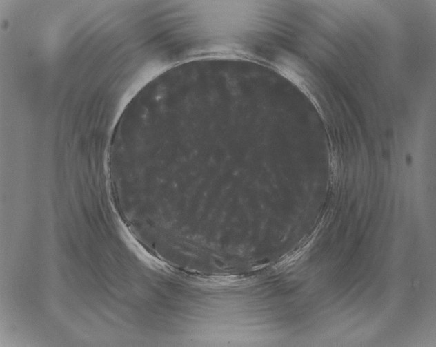 X0000066091482200604071744