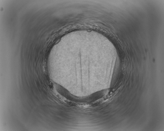 X0000066091490200604071743