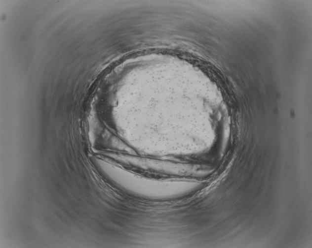 X0000066091497200604071743