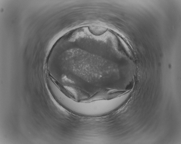 X0000066091519200604071744