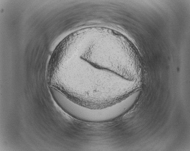X0000066091527200604071744