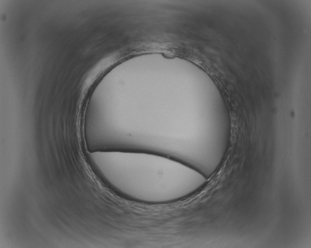 X0000066100006200603100950