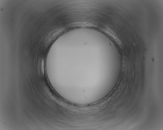 X0000066100014200603100950