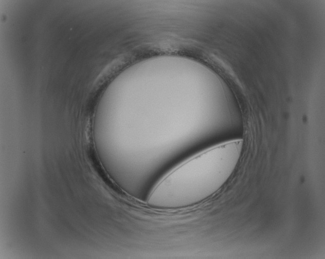 X0000066100023200603100950