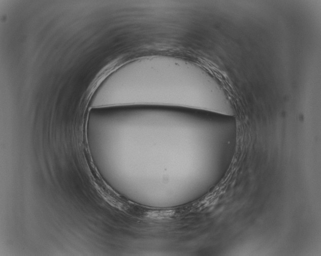 X0000066100051200603100948