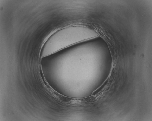 X0000066100052200603100948
