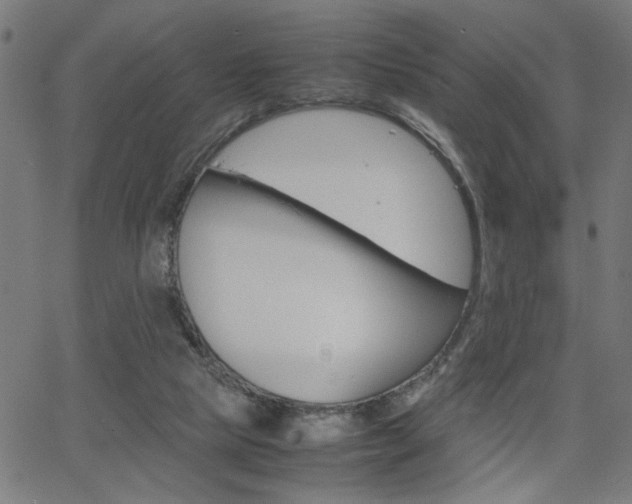 X0000066100065200603100949