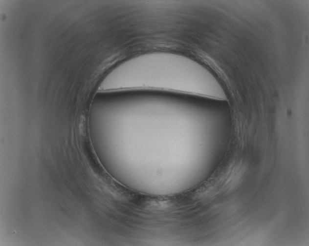 X0000066100071200603100949