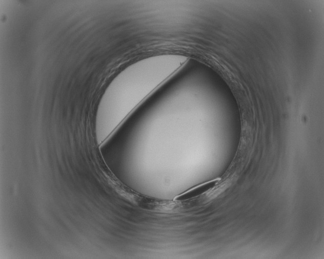 X0000066100096200603100949