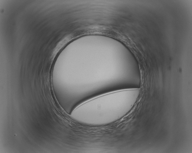 X0000066100099200603100948