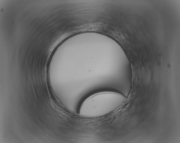 X0000066100100200603100948