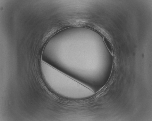 X0000066100105200603100948