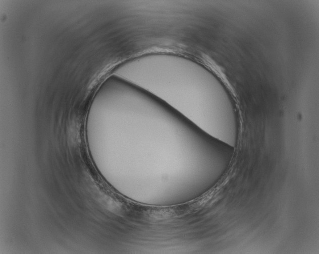 X0000066100106200603100948