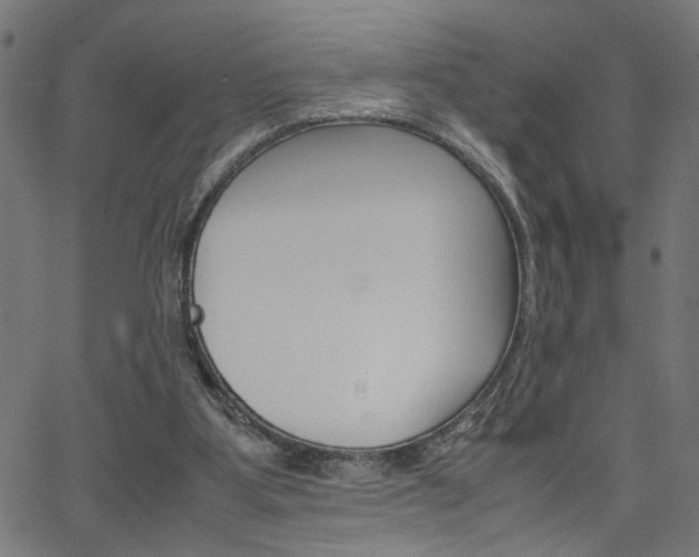 X0000066100107200603100948