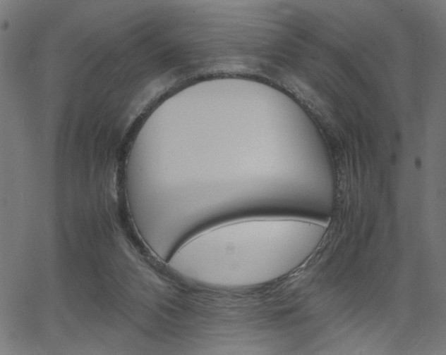 X0000066100112200603100948