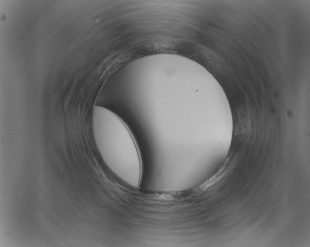 X0000066100140200603100948