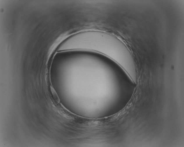 X0000066100152200603100947