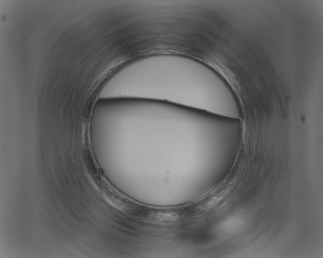 X0000066100157200603100947