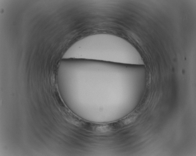 X0000066100173200603100947