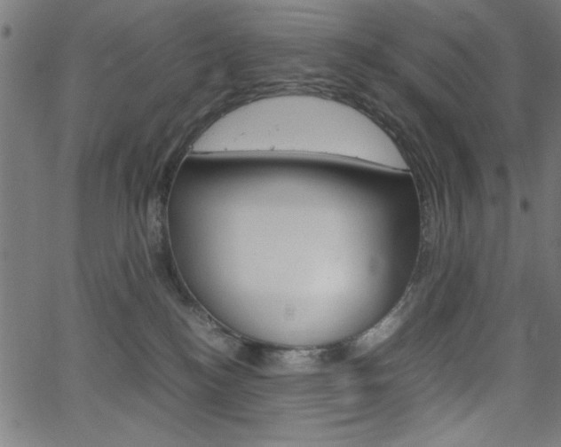 X0000066100184200603100948