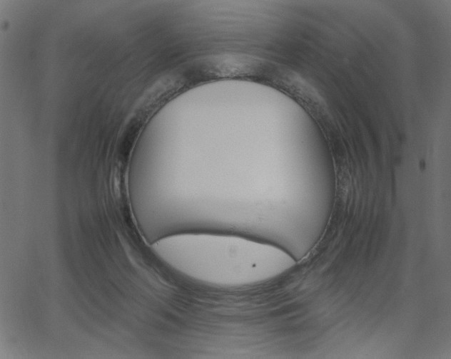 X0000066100214200603100947