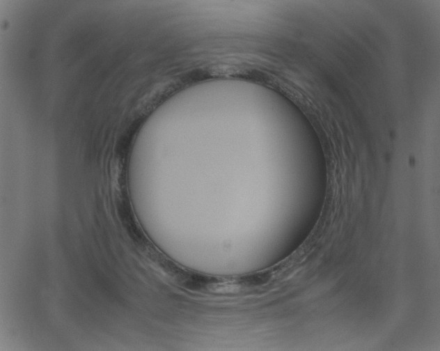 X0000066100219200603100946