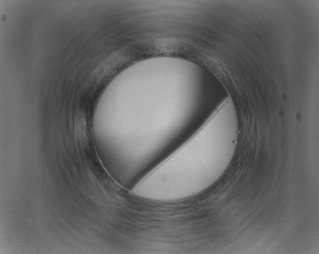 X0000066100220200603100946