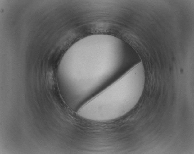 X0000066100224200603100946