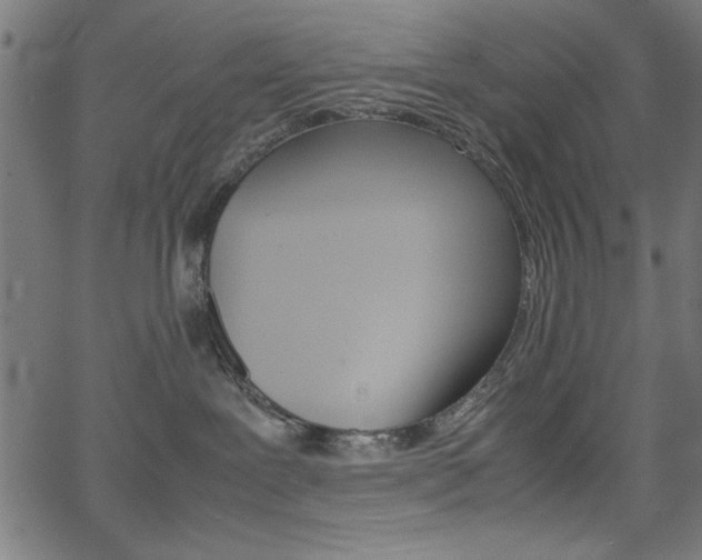 X0000066100239200603100946