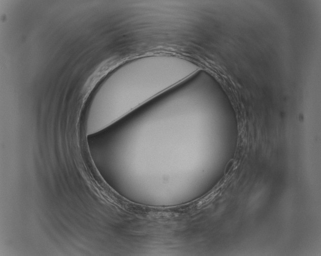 X0000066100242200603100945