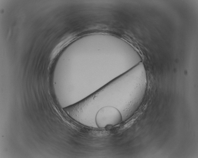 X0000066100245200603100945