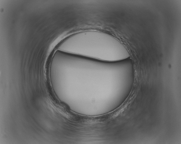 X0000066100246200603100945