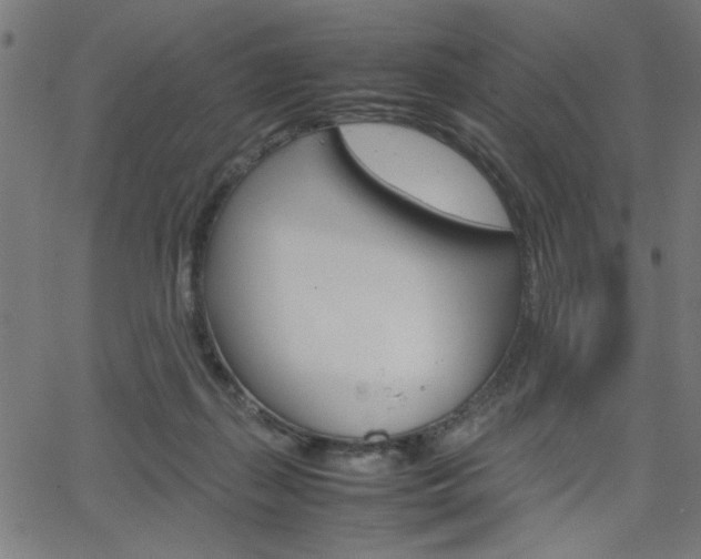 X0000066100267200603100946
