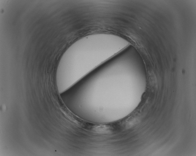 X0000066100269200603100946