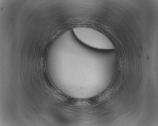 X0000066100270200603100946